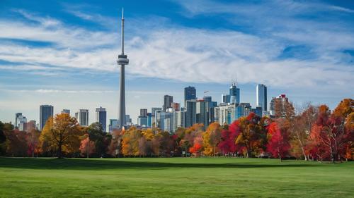 Toronto skyline from a park