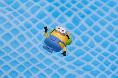 Minion schwimmt im Pool