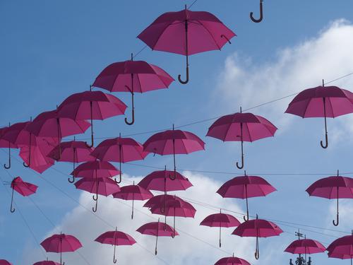 Purple umbrellas in the sky, La Rochelle