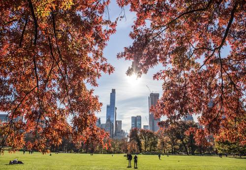 Autumn in Central Park