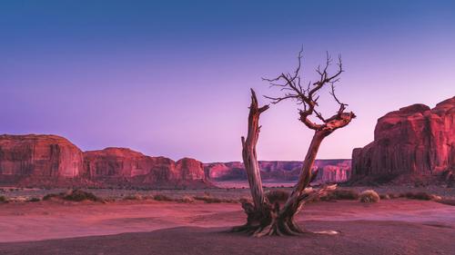 Oljato-Monument Valley, Vereinigte Staaten