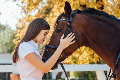 Bindung zwischen Pferd und Reiterin