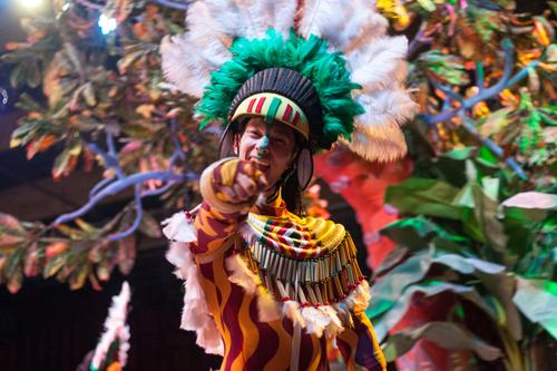 Diversão com máscaras de Carnaval