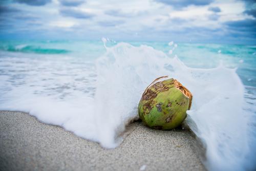 Wave crashing into a coconut