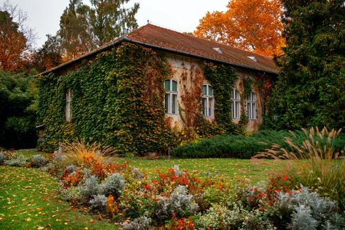 Casa cubierta por el follaje de otoño