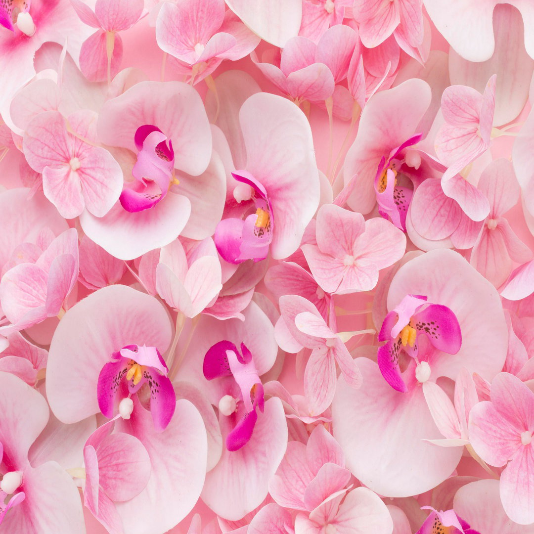 Pink Orchids and Hydrangeas