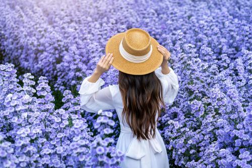 Woman in a lavender field