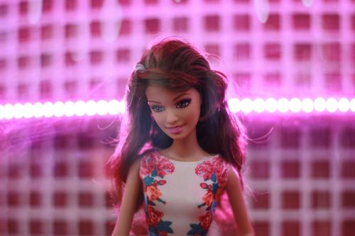 Barbie morena