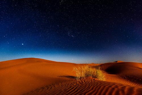 Sahara desert at night