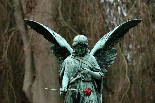 Angel with red rose