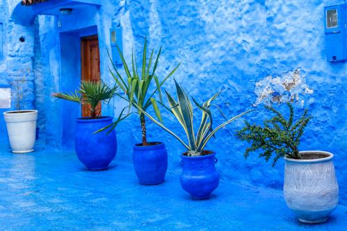 Blue wall, Chefchaouen, Morocco