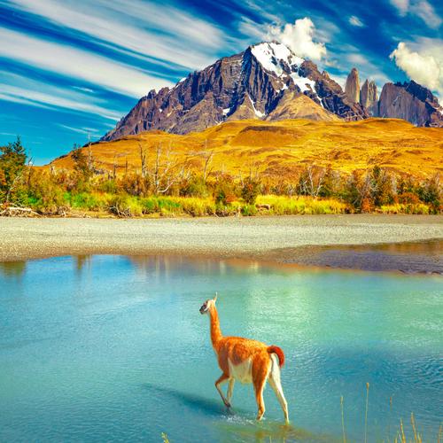 Parque Nacional Torres del Paine, Chile