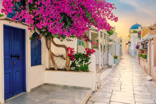 Calle con flores, Santorini