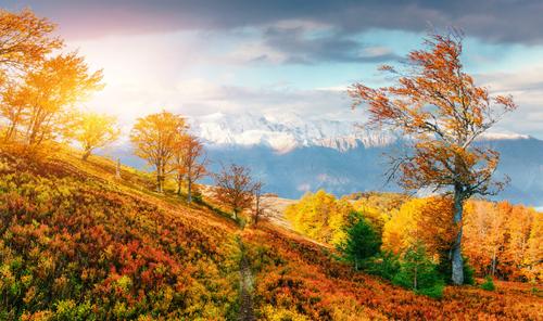 Fall in the Carpathian mountains