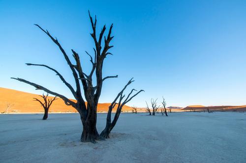 Deadvlei, Namibia