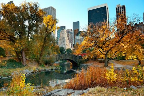Autumn in Manhattan