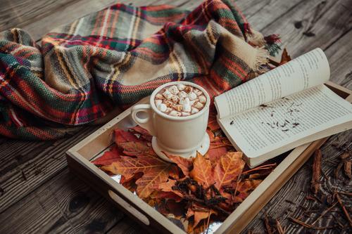 Autumn vibes with hot cocoa and a book