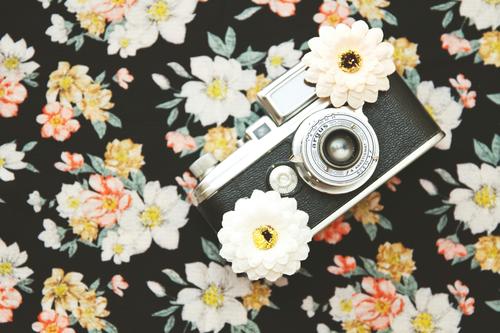 Máquina fotográfica vintage e flores