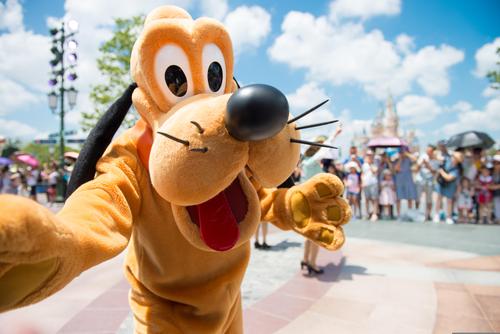 Pluto en Disneylandia