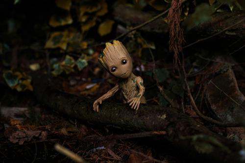 Groot from the Guardians of the Galaxy