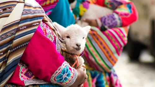 Woman holding a lamb, Cuzco