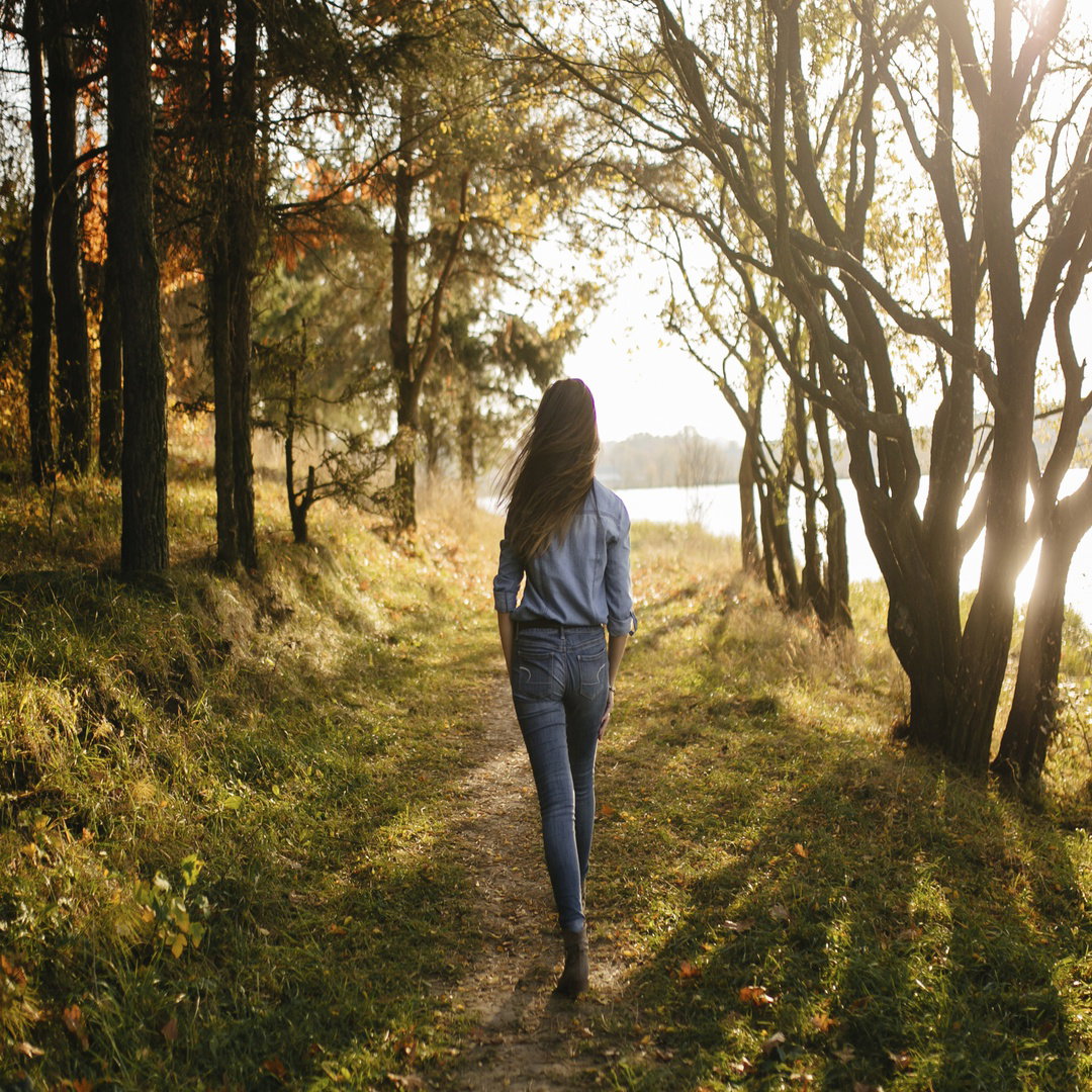 Paseo por el bosque