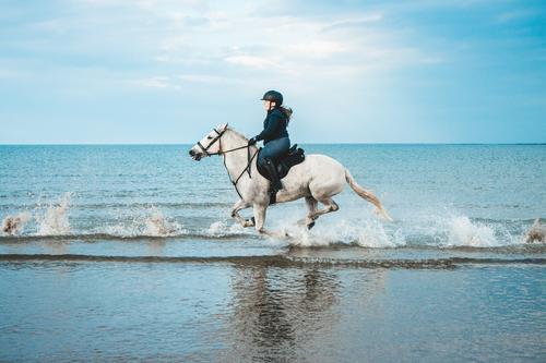 Horse riding on the beach
