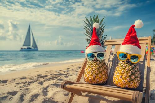 Two pineapples on holidays