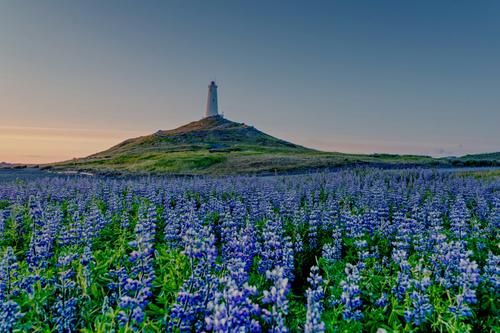 Tremoceiros e o farol de Reykjanesviti