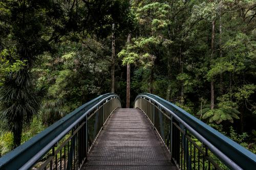 Puente en Whangarei, Nueva Zelanda