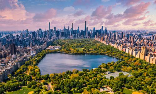 Central Park in New York City
