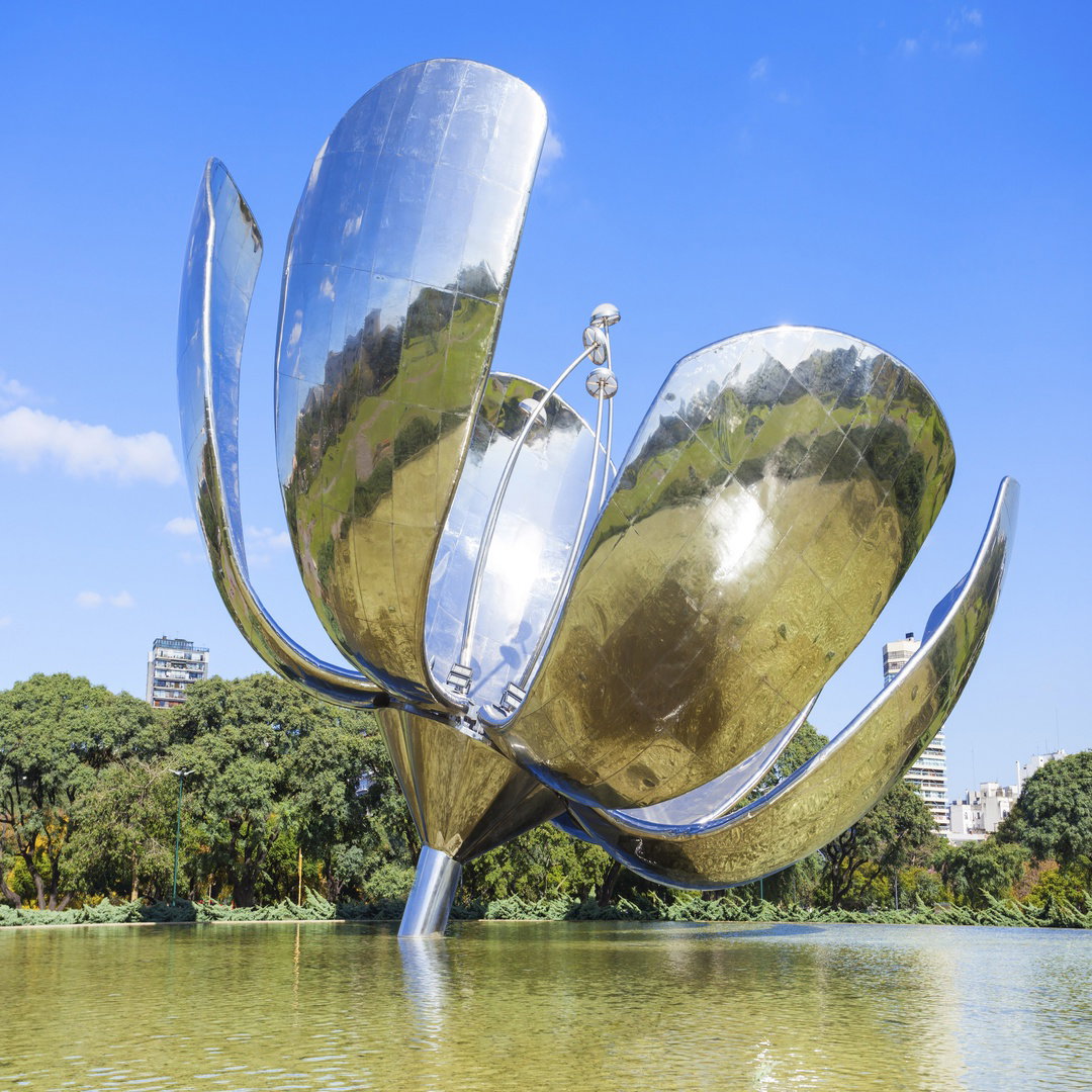 Floralis generica, Buenos Aires