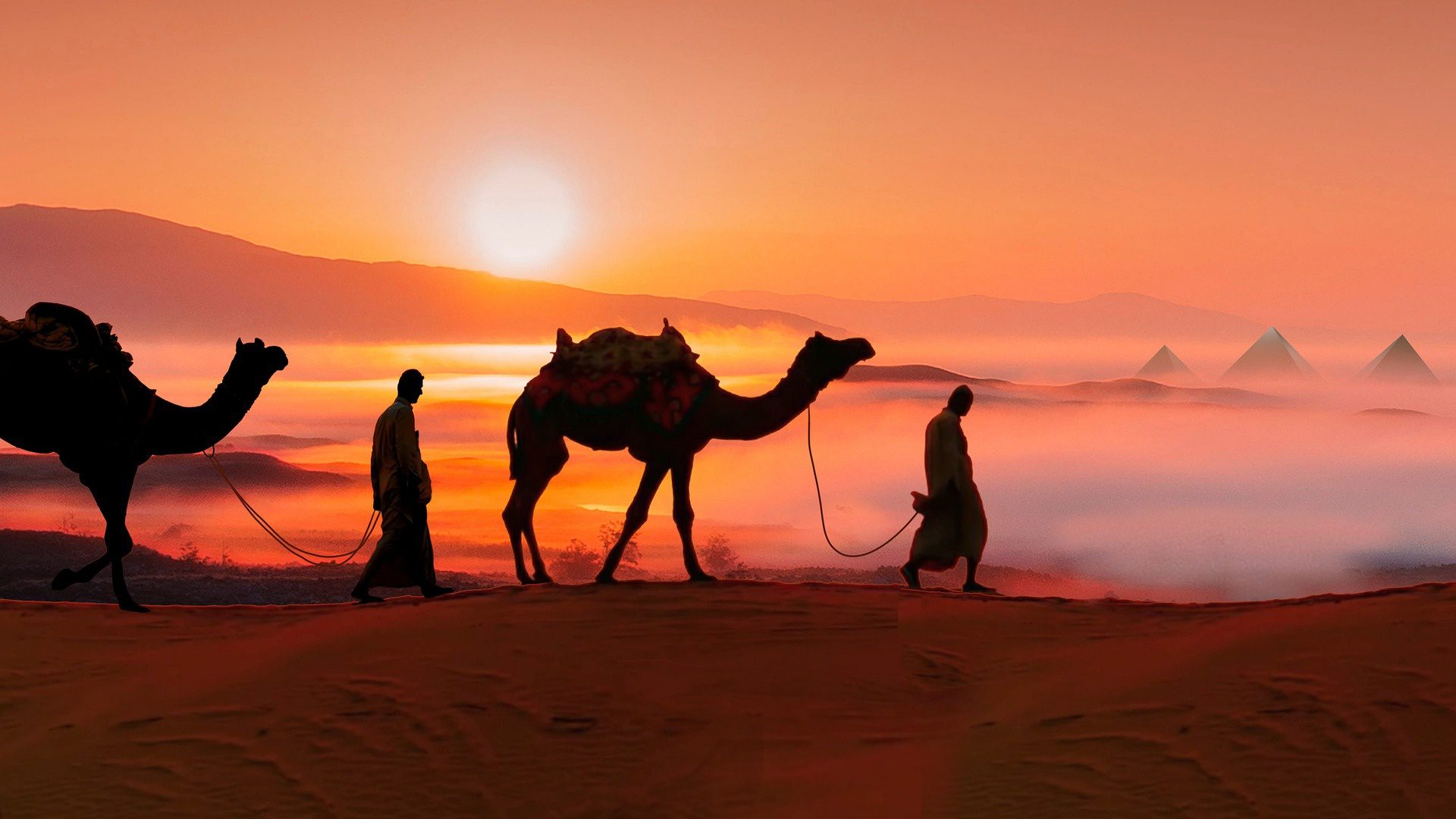 Camellos en el desierto