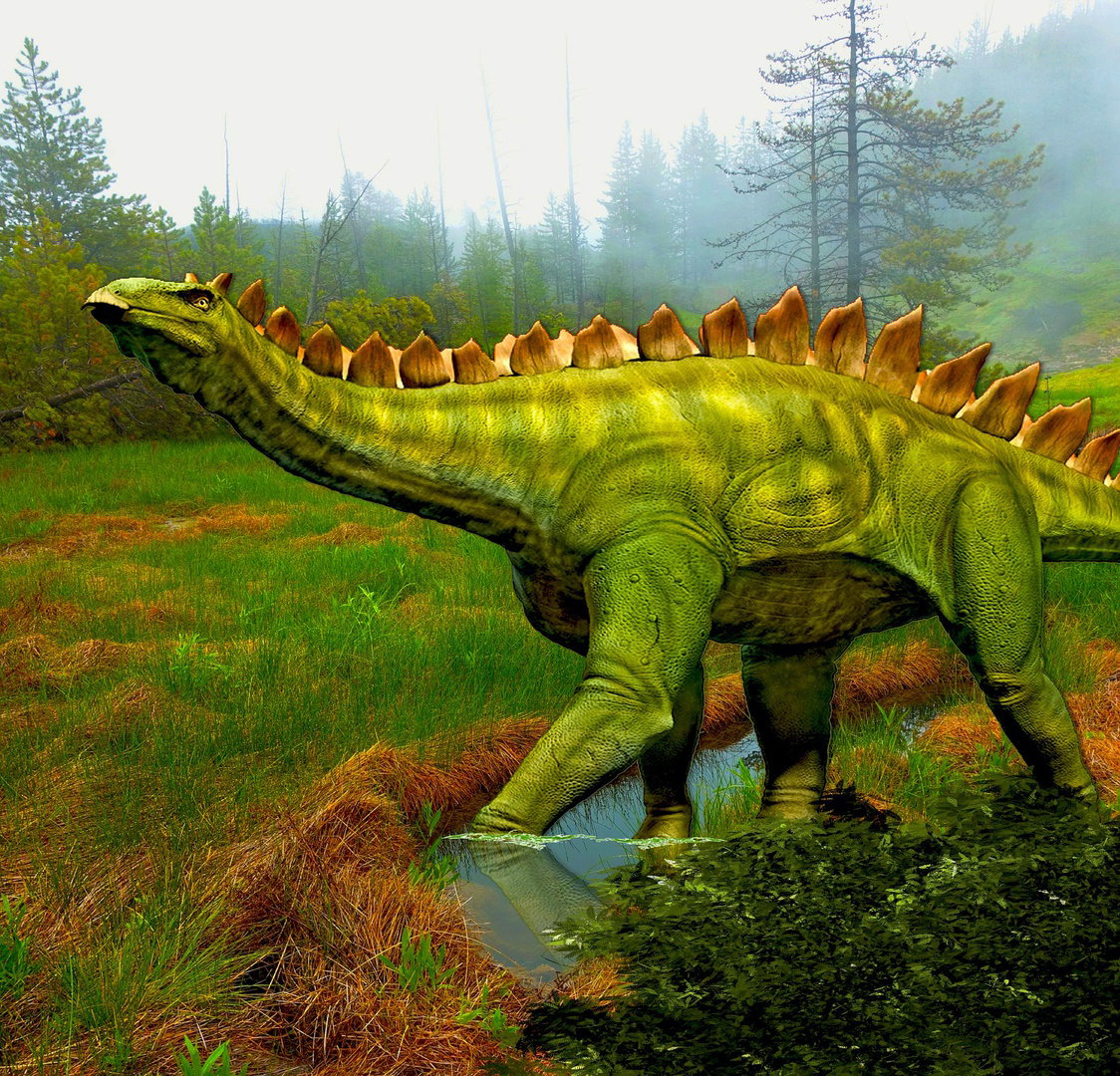 Dinosaur illustration