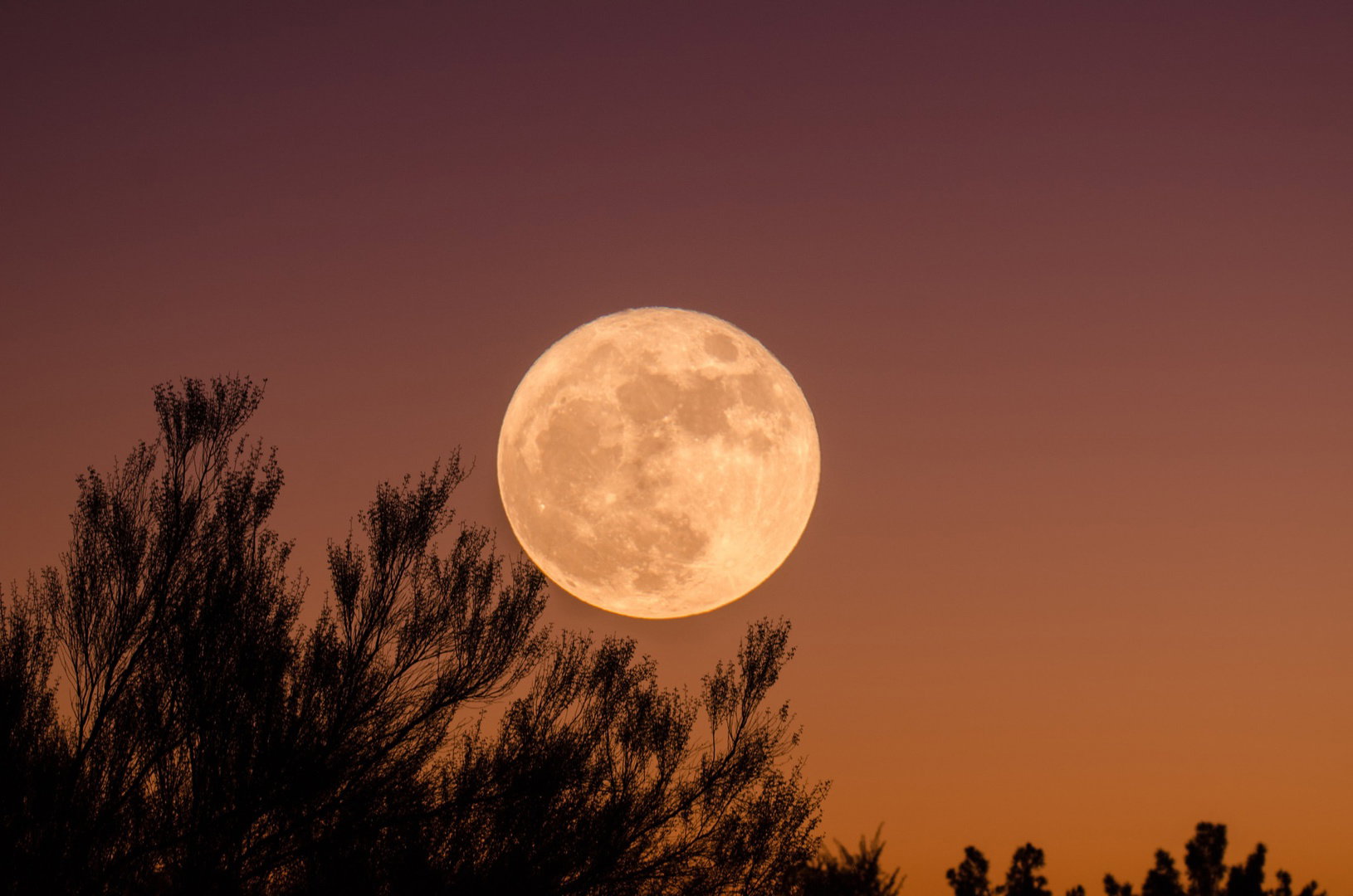 Full moon