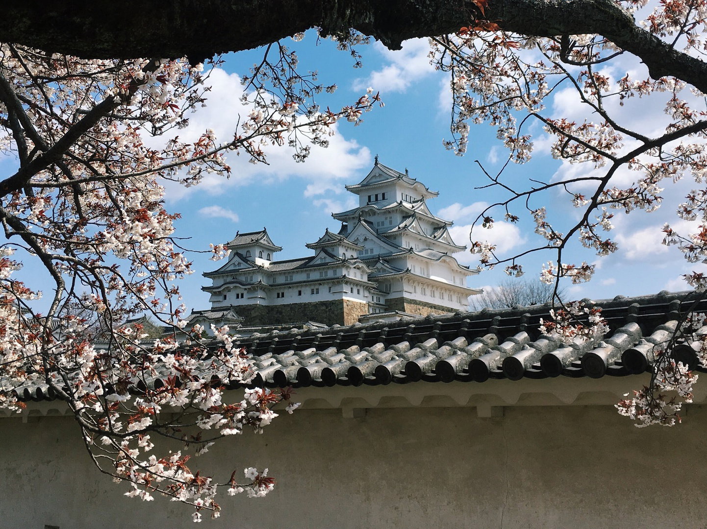 Himeji Castle, Japan
