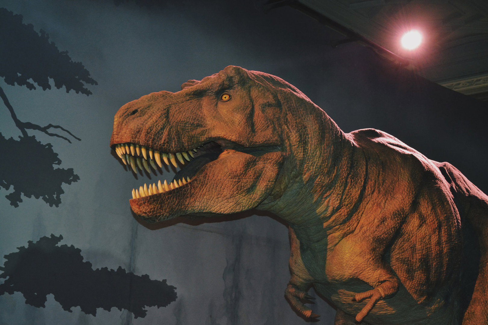 T-rex at the Natural History museum, London