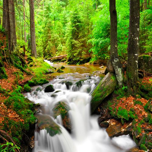 Waterfall White Creek, Czech Republic
