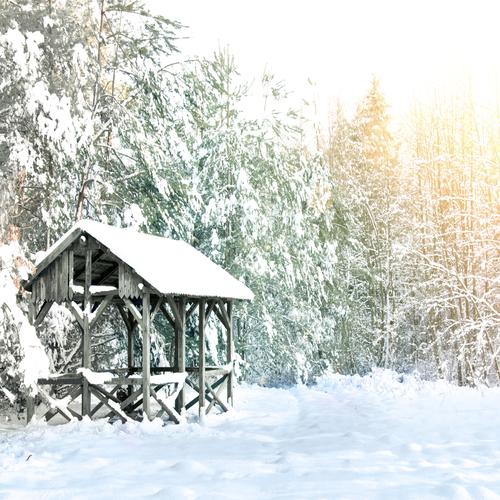 Holzhütte mit Schnee bedeckt