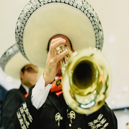 Mariachi Mexican Musician