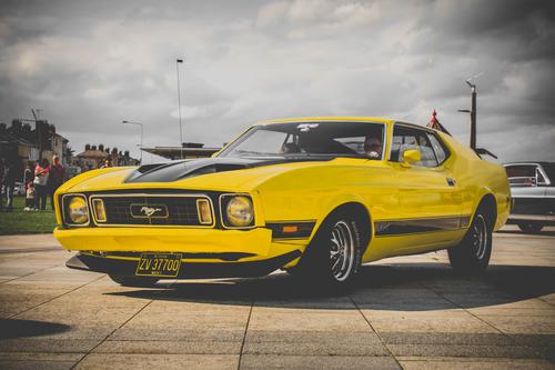 Yellow Mustang
