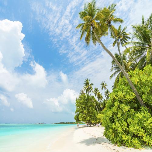Praia tropical nas Maldivas