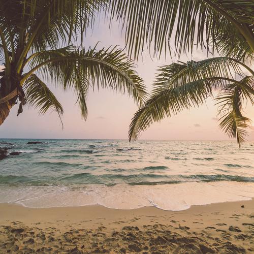 Playa paradisiaca