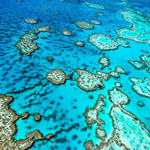 Gran Barrera de Coral, Australia