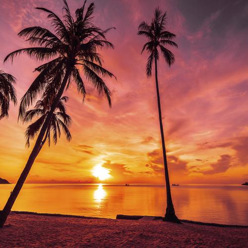 Sonnenuntergang an einem tropischen Strand