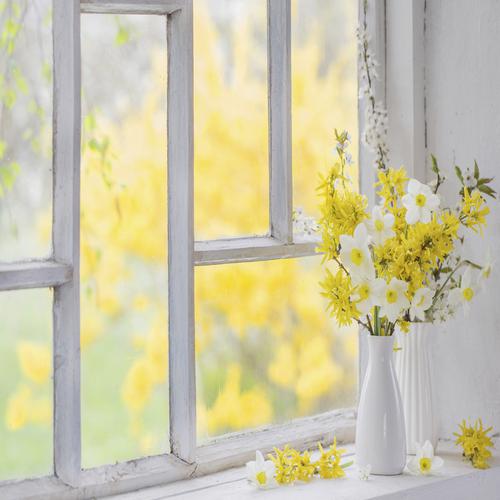 Flores de primavera amarillas