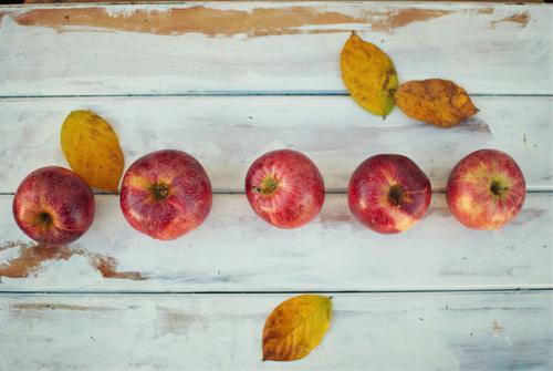 Apples in autumn