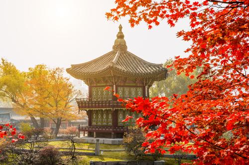 Outono no palácio de Gyeongbokgung