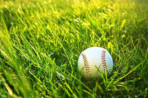 Baseball ball in the grass