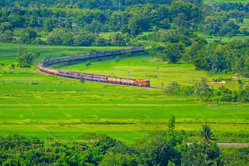 Train running pass a rice field, Thailand